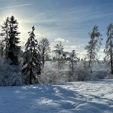 Bio-Holzhaus Und Landhaus Heimat รัมเซา อัม ดาคชไตน์ ภายนอก รูปภาพ