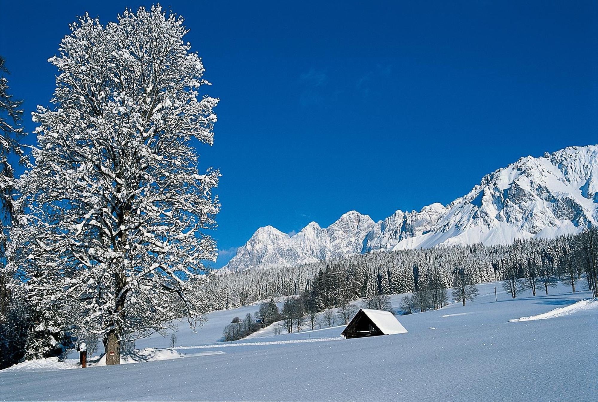 Bio-Holzhaus Und Landhaus Heimat รัมเซา อัม ดาคชไตน์ ภายนอก รูปภาพ
