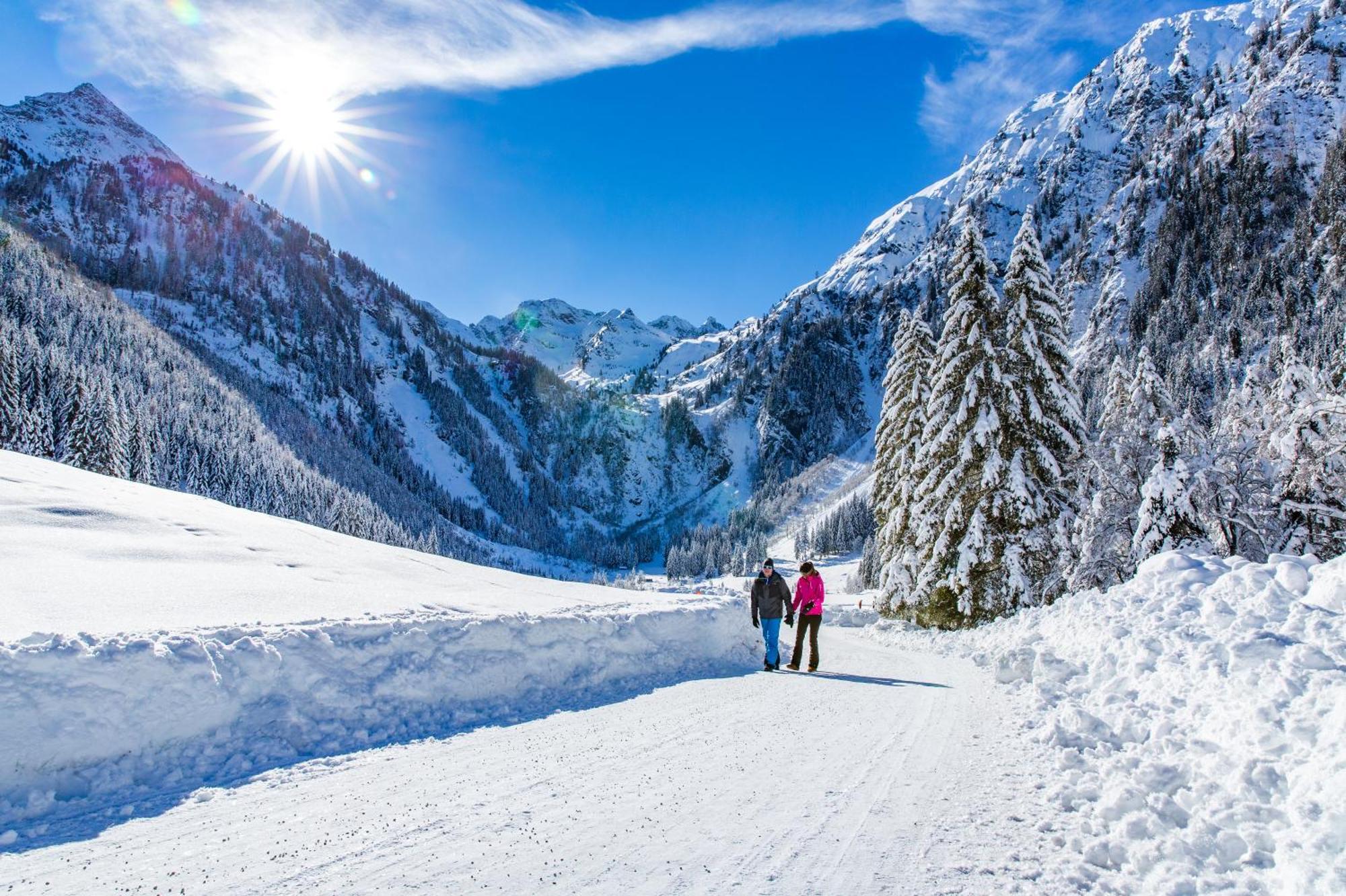 Bio-Holzhaus Und Landhaus Heimat Apartment รัมเซา อัม ดาคชไตน์ ภายนอก รูปภาพ