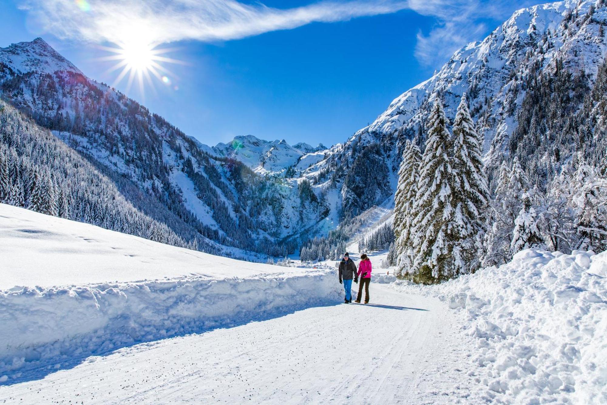 Bio-Holzhaus Und Landhaus Heimat รัมเซา อัม ดาคชไตน์ ภายนอก รูปภาพ