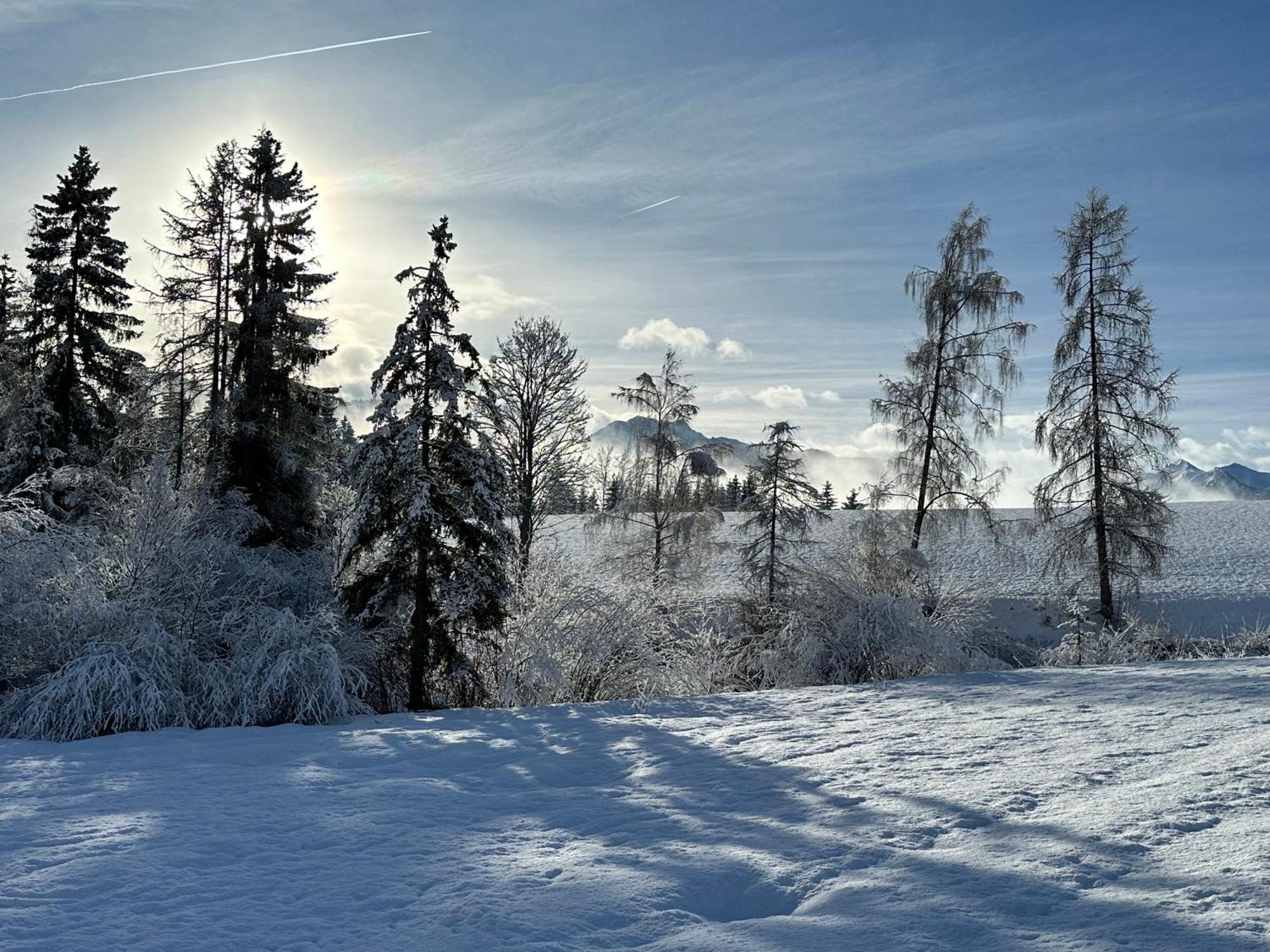 Bio-Holzhaus Und Landhaus Heimat รัมเซา อัม ดาคชไตน์ ภายนอก รูปภาพ