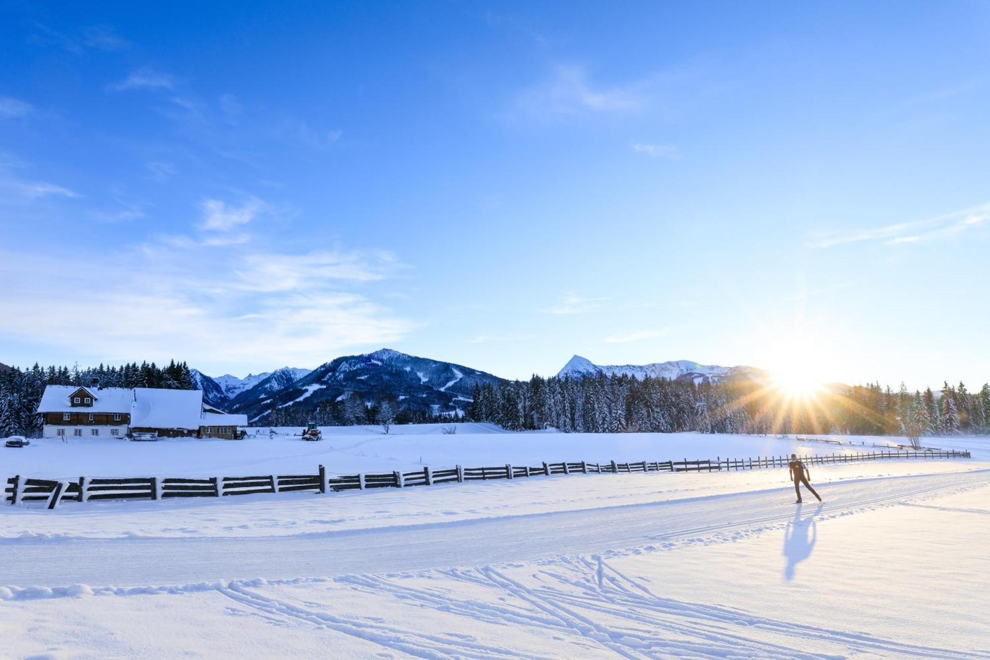 Bio-Holzhaus Und Landhaus Heimat Apartment รัมเซา อัม ดาคชไตน์ ภายนอก รูปภาพ