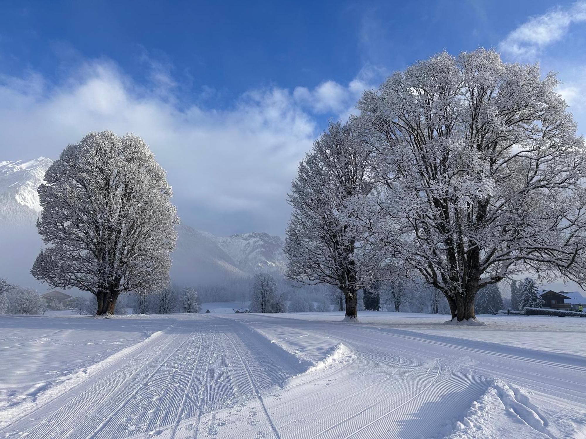 Bio-Holzhaus Und Landhaus Heimat รัมเซา อัม ดาคชไตน์ ภายนอก รูปภาพ