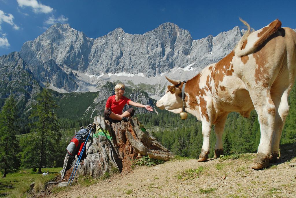 Bio-Holzhaus Und Landhaus Heimat รัมเซา อัม ดาคชไตน์ ภายนอก รูปภาพ