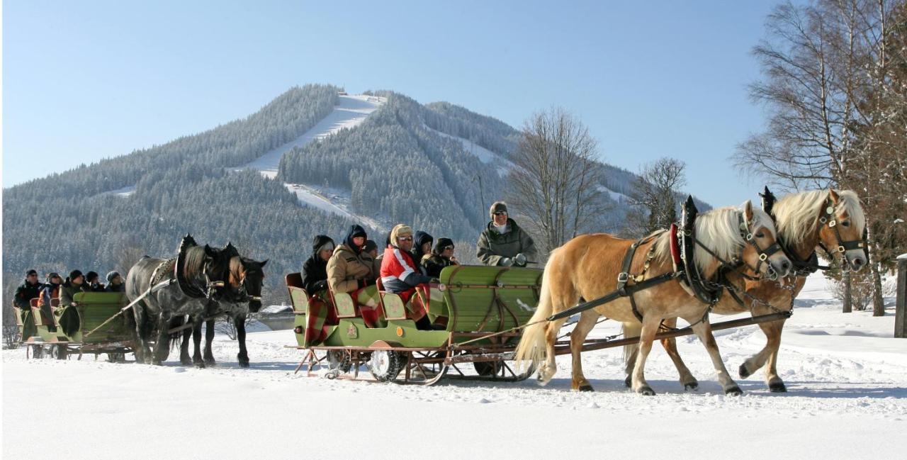 Bio-Holzhaus Und Landhaus Heimat รัมเซา อัม ดาคชไตน์ ภายนอก รูปภาพ